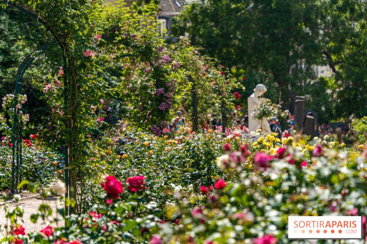 Photos La roseraie du Jardin des Plantes 