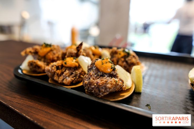 HOBA à Paris, nos photos