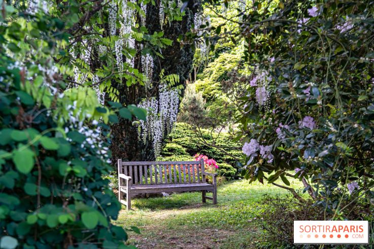 Arboretum de la Vallée-aux-Loups, une balade au milieu des arbres remarquables