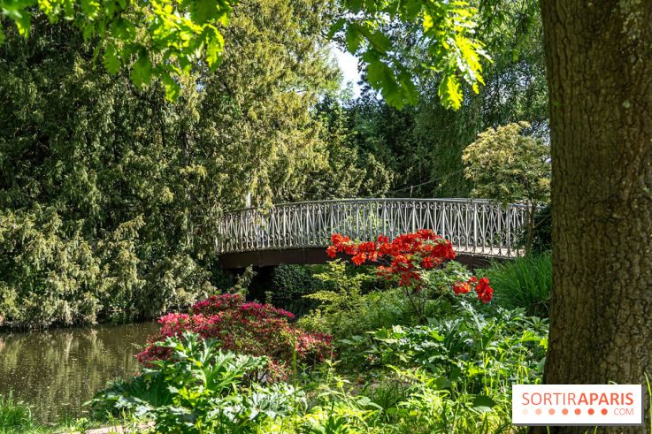 Arboretum de la Vallée-aux-Loups, une balade au milieu des arbres remarquables