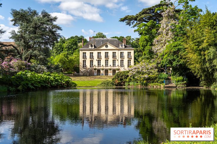 Arboretum de la Vallée-aux-Loups, une balade au milieu des arbres remarquables - A7C07755