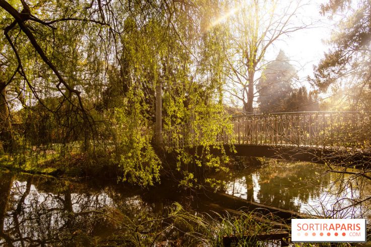 Arboretum de la Vallée-aux-Loups, une balade au milieu des arbres remarquables
