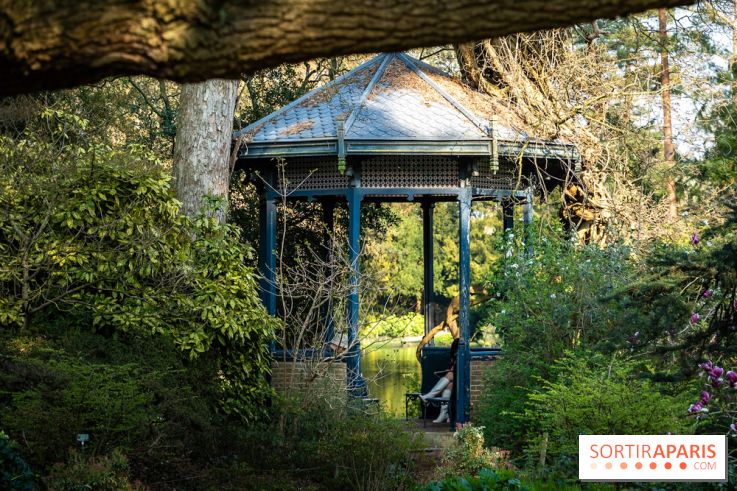 Arboretum de la Vallée-aux-Loups, une balade au milieu des arbres remarquables