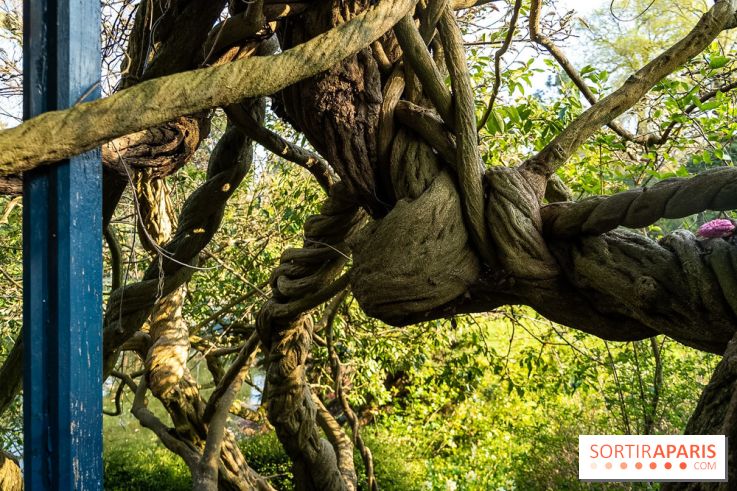 Arboretum de la Vallée-aux-Loups, une balade au milieu des arbres remarquables