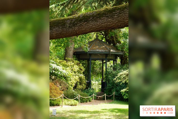 Arboretum de la Vallée-aux-Loups, une balade au milieu des arbres remarquables