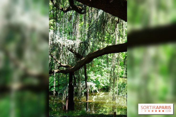 Arboretum de la Vallée-aux-Loups, une balade au milieu des arbres remarquables