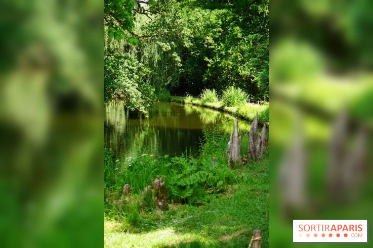 Arboretum de la Vallée-aux-Loups, une balade au milieu des arbres remarquables
