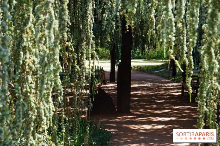 Arboretum de la Vallée-aux-Loups, une balade au milieu des arbres remarquables