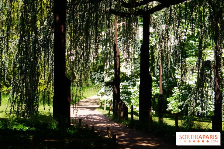 Arboretum de la Vallée-aux-Loups, une balade au milieu des arbres remarquables