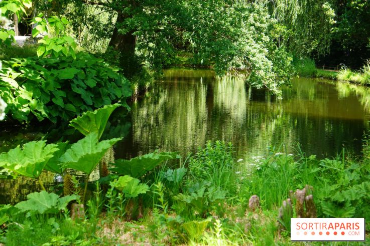 Arboretum de la Vallée-aux-Loups, une balade au milieu des arbres remarquables