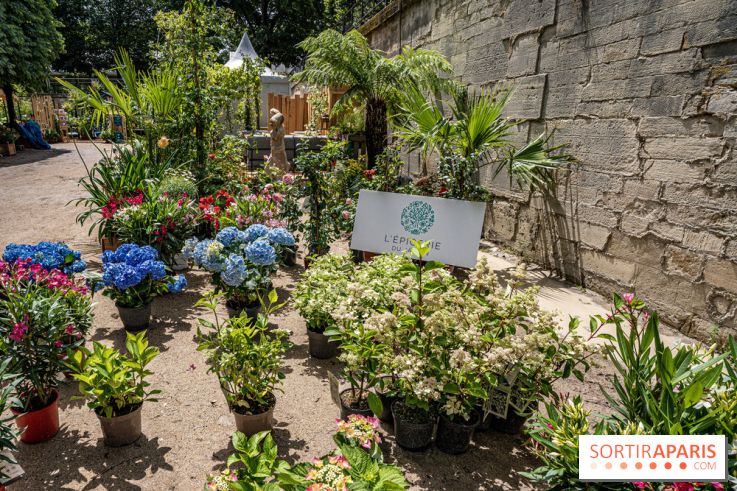 Jardins jardin aux Tuileries 2022