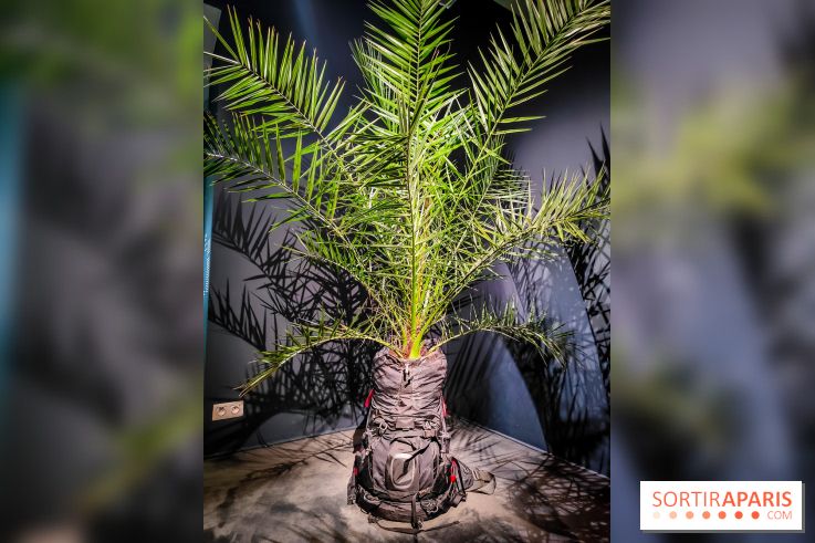 Faut-il voyager pour être heureux ?, l'exposition dépaysante de l'Espace Fondation EDF - nos photos