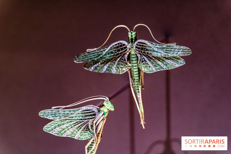 Exposition Végétal  by Chaumet aux Beaux Arts de Paris