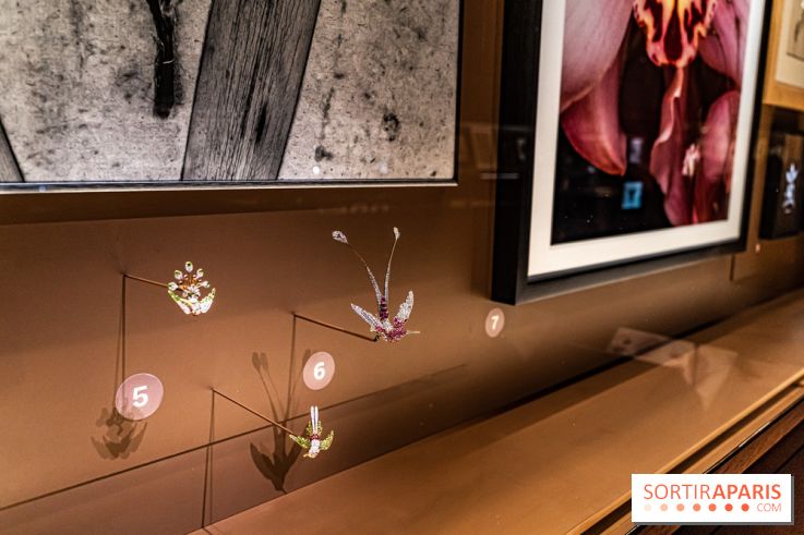 Exposition Végétal  by Chaumet aux Beaux Arts de Paris