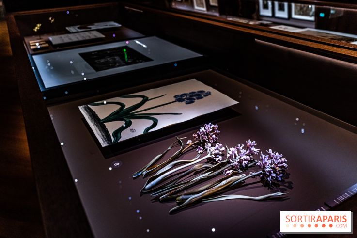 Exposition Végétal  by Chaumet aux Beaux Arts de Paris