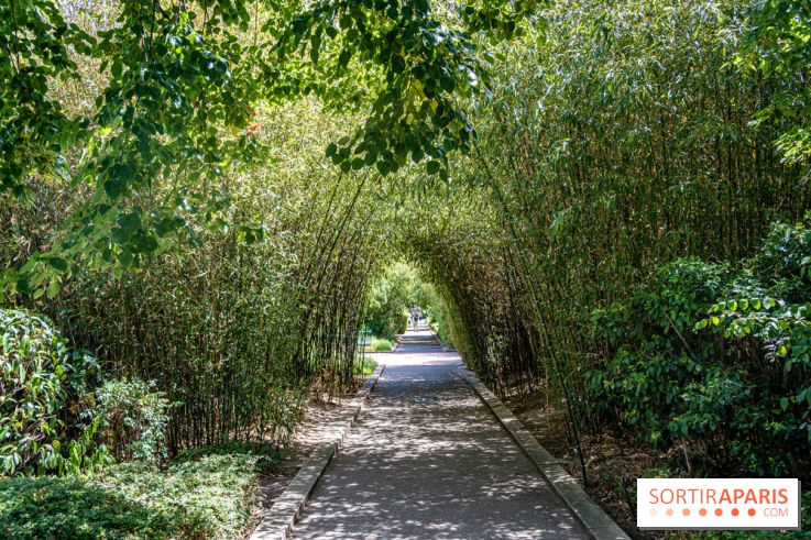 La Coulée verte, la promenade insolite de la Bastille à Vincennes