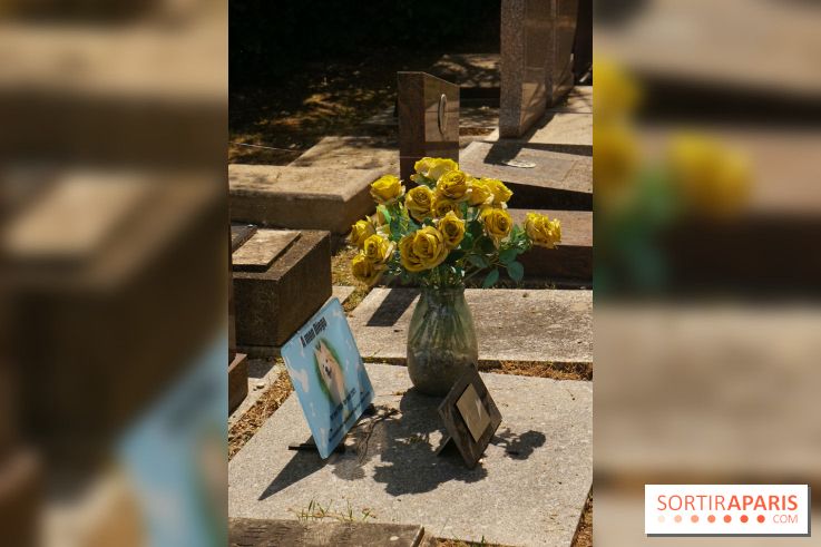 Le cimetière canin à Asnières-sur-Seine