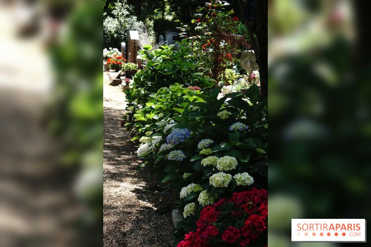 Le cimetière canin à Asnières-sur-Seine