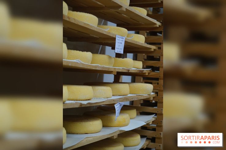 La fromagerie Ganot à Jouarre