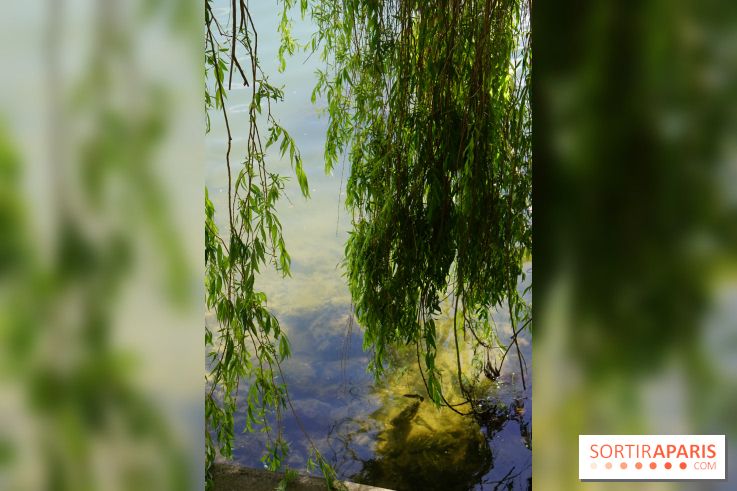 l'Île des Impressionnistes à Chatou