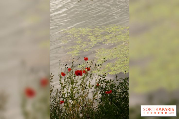 l'Île des Impressionnistes à Chatou