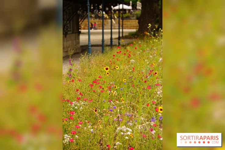 l'Île des Impressionnistes à Chatou