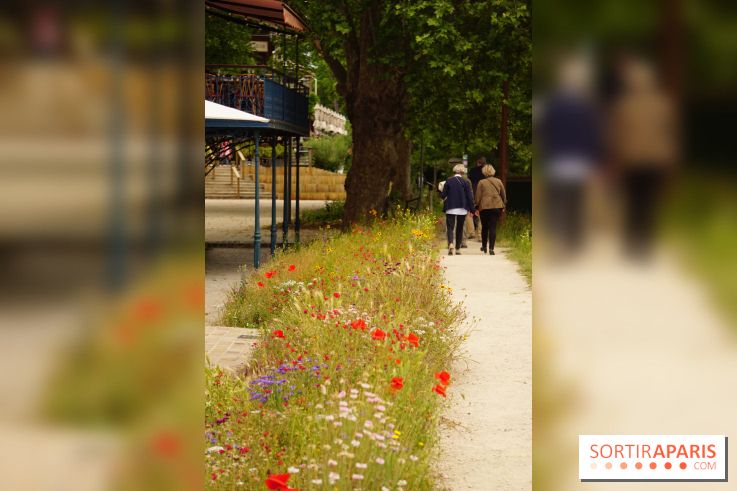 l'Île des Impressionnistes à Chatou