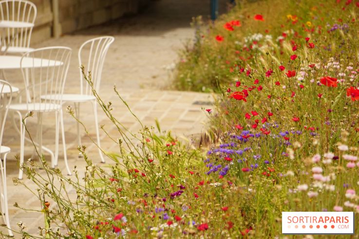l'Île des Impressionnistes à Chatou