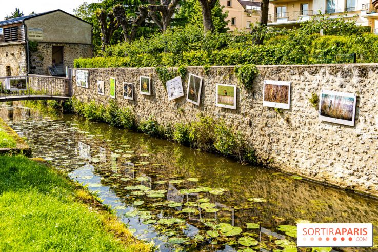La promenade des petits ponts dans la vallée de Chevreuse
