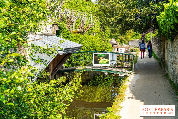 La promenade des petits ponts dans la vallée de Chevreuse -  A7C3889