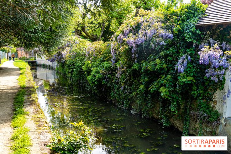 La promenade des petits ponts dans la vallée de Chevreuse