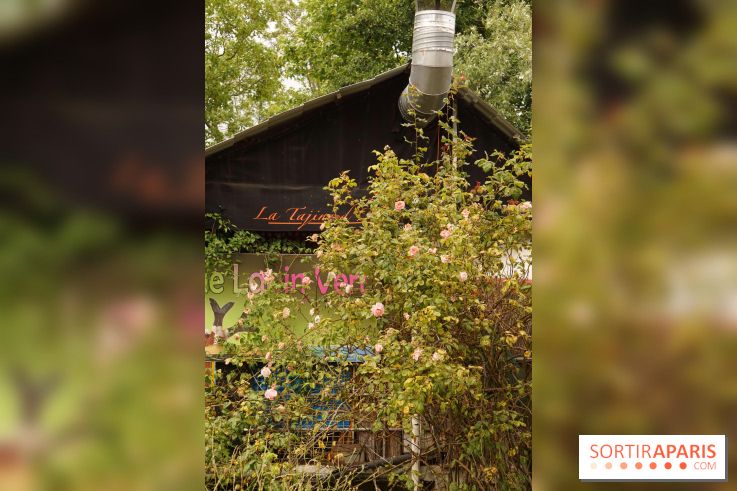 L’île Fanac à Joinville-le-Pont, un lieu incontournable à découvrir dans le Val de Marne