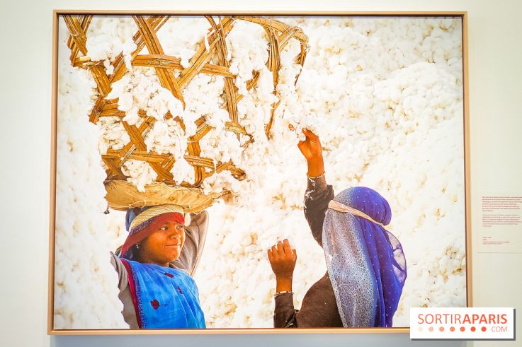 Les femmes portent le monde : l'exposition photo de Lekha Singh au musée de l'Homme, nos photos