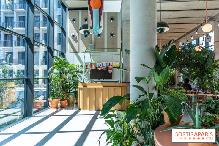 Titi Palacio, bar-restaurant festif à la Félicité 