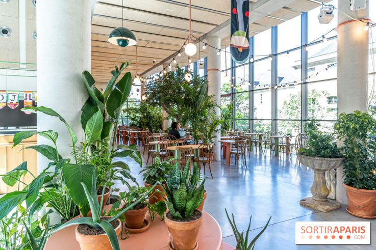 Titi Palacio, bar-restaurant festif à la Félicité 