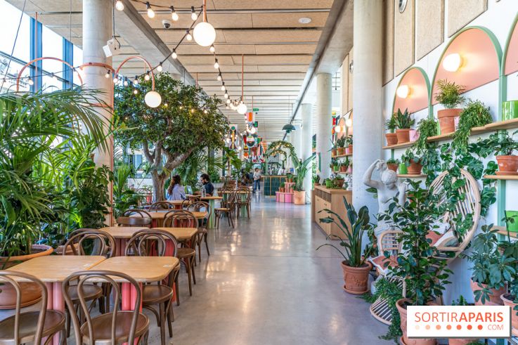 Titi Palacio, bar-restaurant festif à la Félicité 