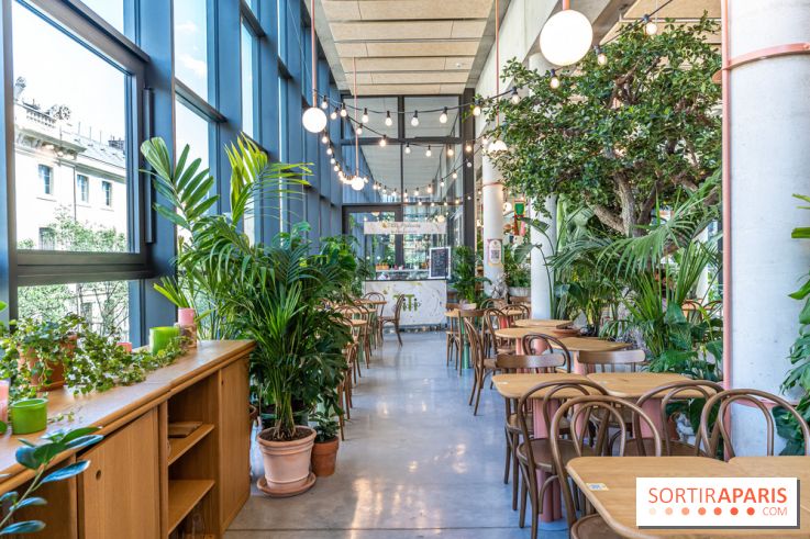 Titi Palacio, bar-restaurant festif à la Félicité 