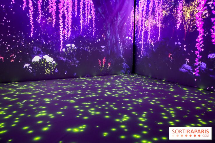 Exposition immersive autour de la Fête des lanternes, nos photos