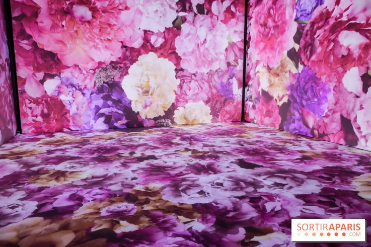 Exposition immersive autour de la Fête des lanternes, nos photos