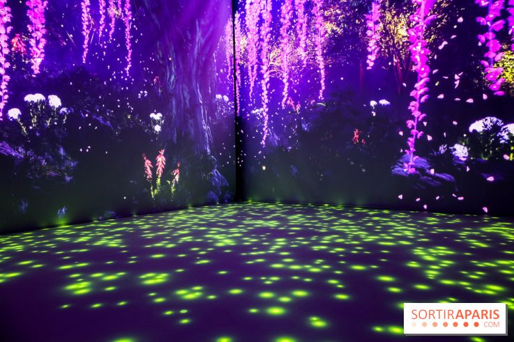 Exposition immersive autour de la Fête des lanternes, nos photos