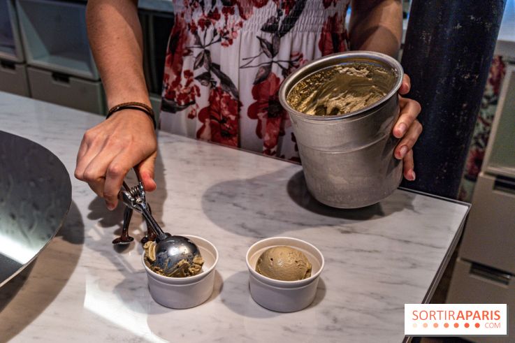 Les glaces de Jacques Génin à Paris