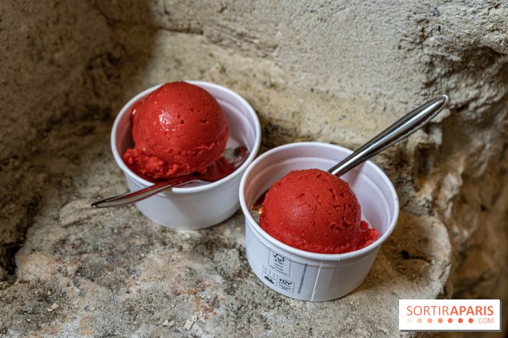 Les glaces de Jacques Génin à Paris