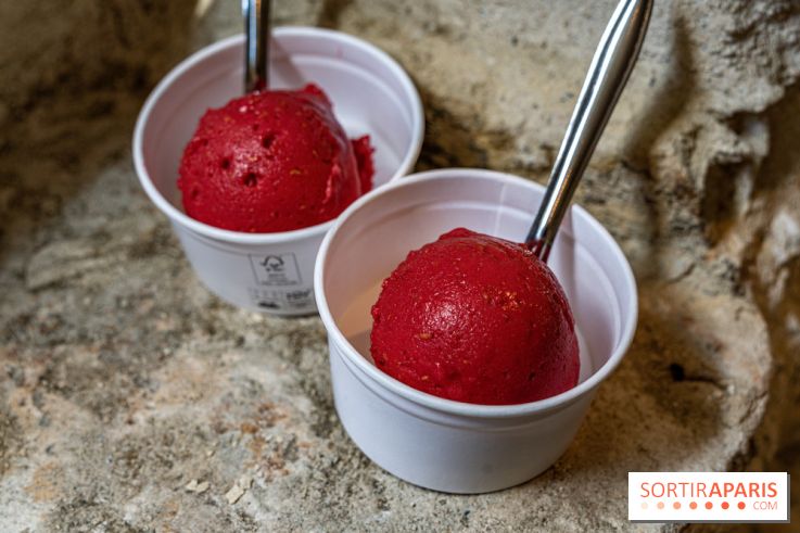 Les glaces de Jacques Génin à Paris