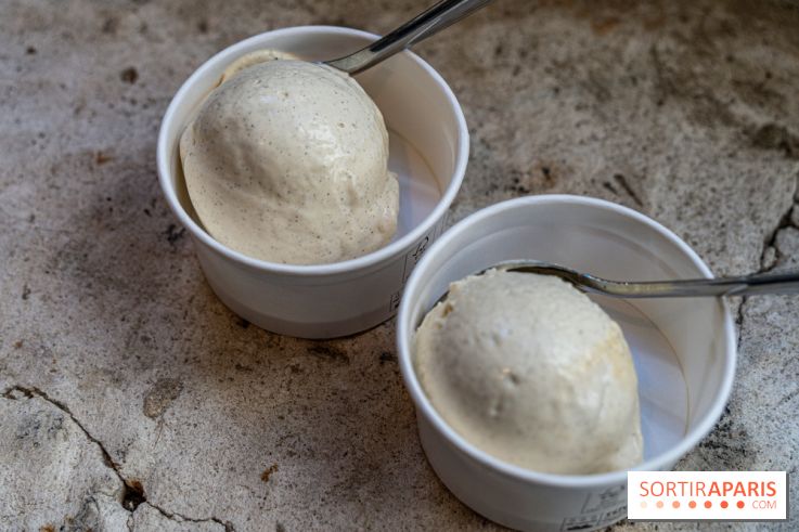 Les glaces de Jacques Génin à Paris