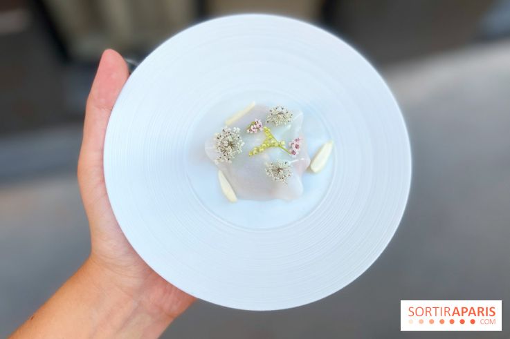 NESO Guillaume Sanchez x The Botanist