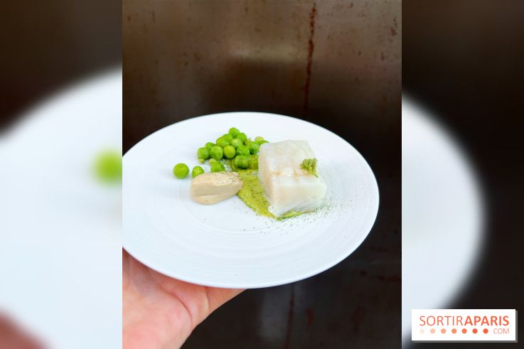 NESO Guillaume Sanchez x The Botanist