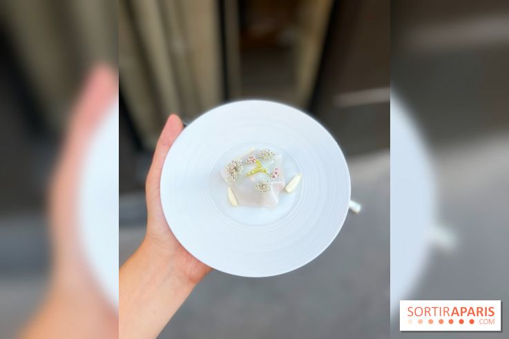 NESO Guillaume Sanchez x The Botanist