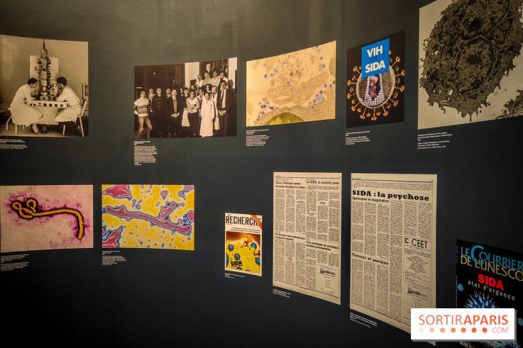 Micro mondes, une exposition à découvrir à la loupe au musée du Quai Branly, nos photos