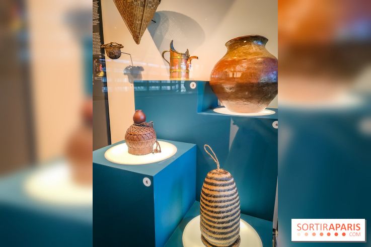 Micro mondes, une exposition à découvrir à la loupe au musée du Quai Branly, nos photos