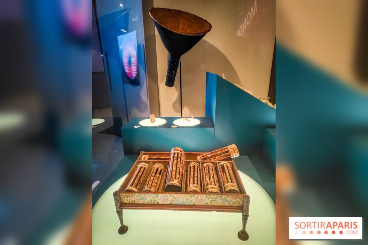 Micro mondes, une exposition à découvrir à la loupe au musée du Quai Branly, nos photos